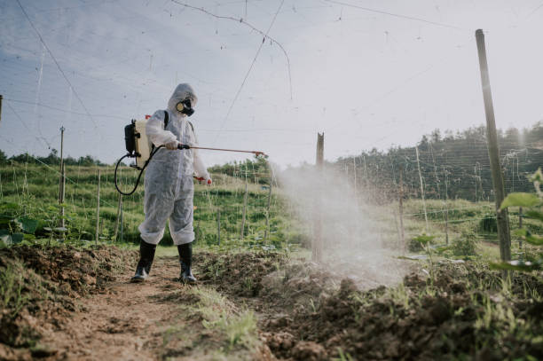 Best Ant Control Services  in Wona Lake, IN