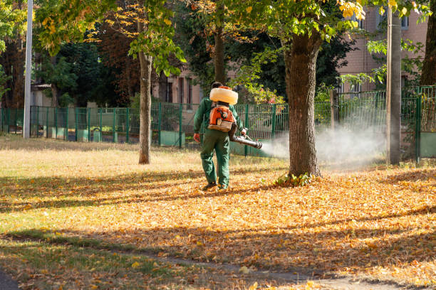 Best Flea Control Services  in Wona Lake, IN