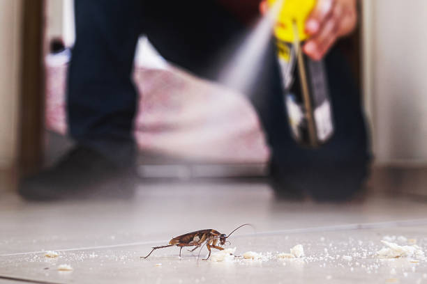 Best Wildlife Control Services  in Wona Lake, IN